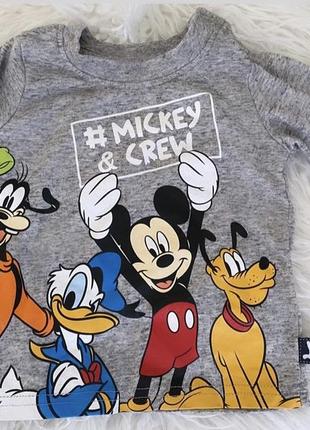 Реглан disney next