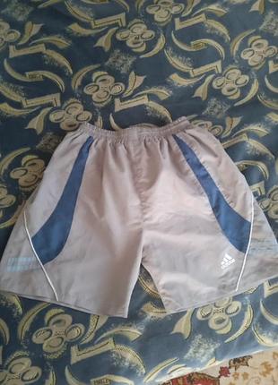 Продам шорти.