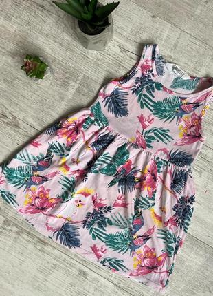 Рожеве плаття в папуг h&m на 2-4 роки