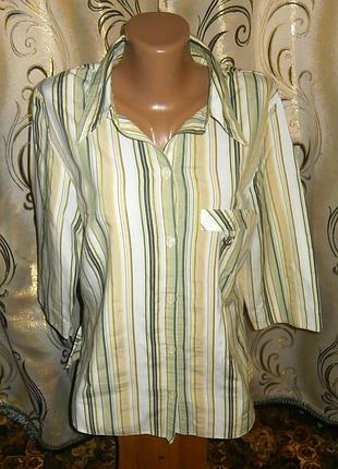 Женская полосатая блуза