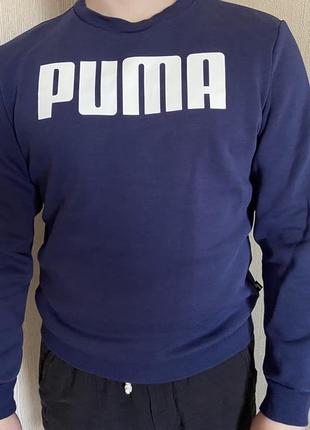 Мужская кофта puma original4 фото