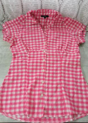 Жіноча, рожева, бавовняна блузка, блузка, сорочка, з коротким рукавом на гудзиках, в клітку, amisu1 фото