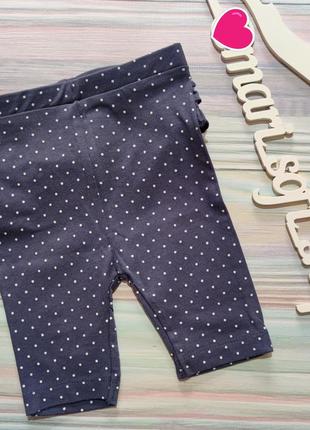 Синие укороченные лосины / леггинсы early days р. 3-6 мес