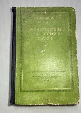 Книга лекарственные растения ссср, 1951 г.. антиквариат!2 фото