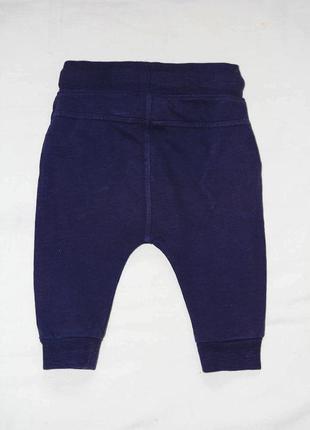 Спортивные штаны джоггеры для малыша next2 фото