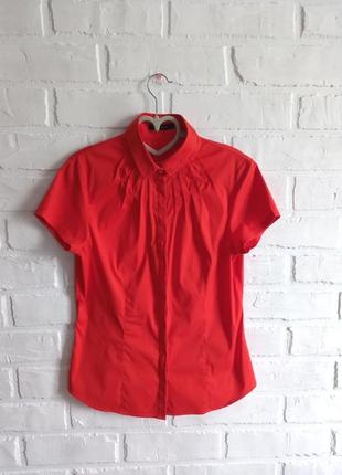 Яркая блуза windsor