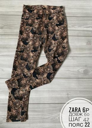 Zara 5-6р