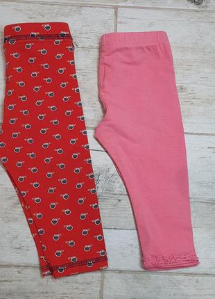 Лосинки, лосины, лосіни, лосинки