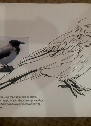 Абетка раскраска 7