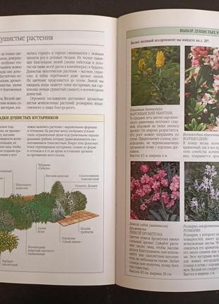 Краткая энциклопедия садового дизайна9 фото