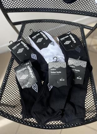 Базові короткі шкарпетки umbro socks9 фото