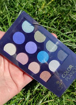 Набір тіней для повік ffleur color planchet 12 кольорів