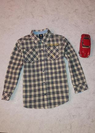 Стильна сорочка в клітку