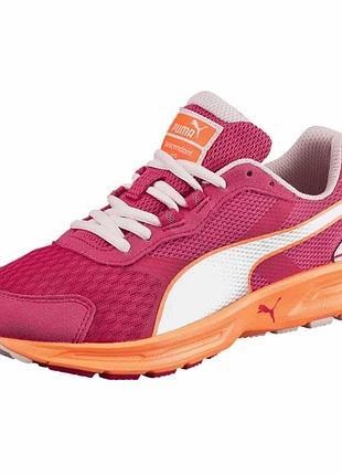 Puma descendant shop