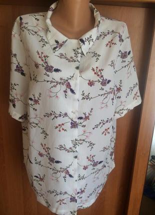 Туніка, блузка, сорочка, сорочка damart.