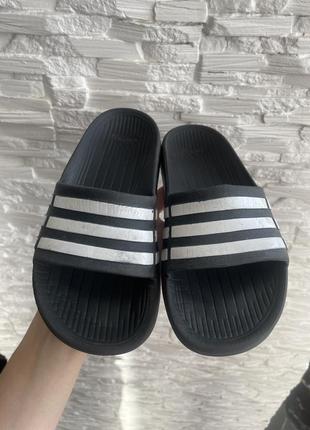 Шльопанці adidas оригінал 31-323 фото