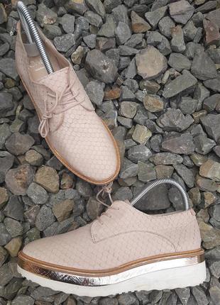 Броги пудрові платформа cwh selection