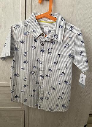 Сорочка carter ' s