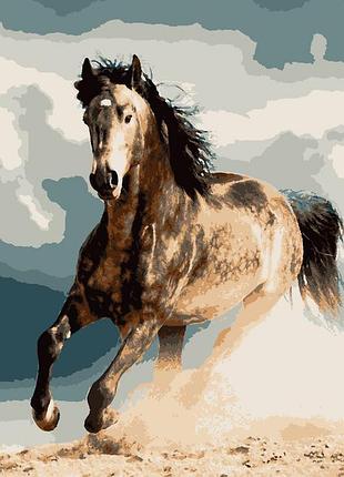 Картина по номерам  конь в яблоках artissimo 40*50   pn4340