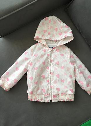 Куртка, вітровка