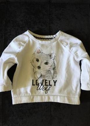 Свитшот реглан байковый