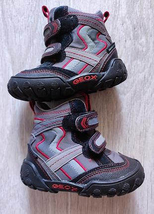 Термо черевички geox 4