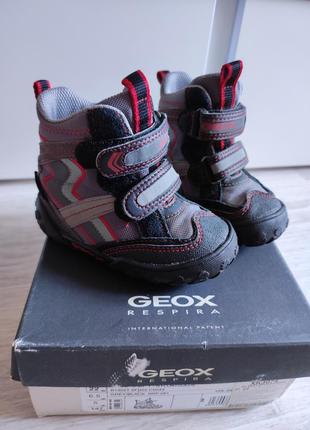 Термо черевички geox1 фото