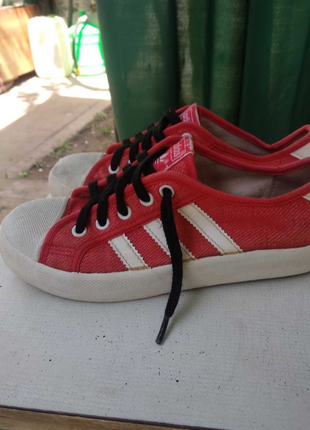 Кеди adidas