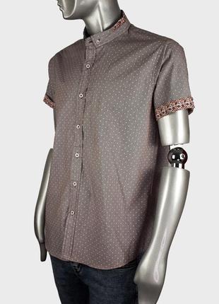 Brave soul бежева чоловіча сорочка короткий рукав в горошок з оригінальним дизайном (100% бавовна)