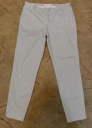 Штани коттон люкс бренду італія