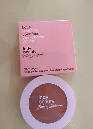 Пудра 9.5 грам danisa