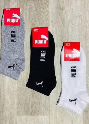 Шкарпетки чоловічі спортивні демісезонні укорочені бавовна puma туреччина розмір 41-45 мікс