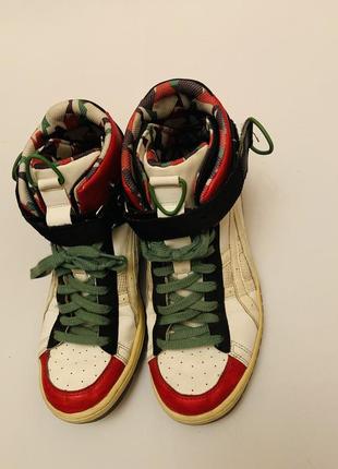 Кросівки asics hy816