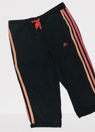 Бриджі adidas