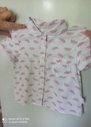Сорочка фтуболка з кавунами бембі