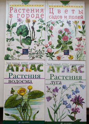 Серия книг про растения