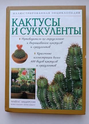 Кактусы и суккуленты1 фото