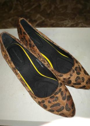 Туфли леопардовые2 фото