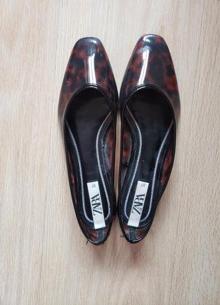 Тигровые прозрачные балетки zara