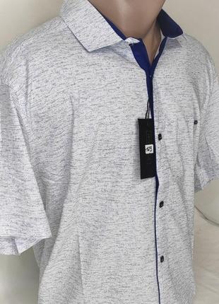 Рубашка мужская с коротким рукавом батальная paul smith vk-0123 белая в принт стрейч коттон турция, тенниска2 фото