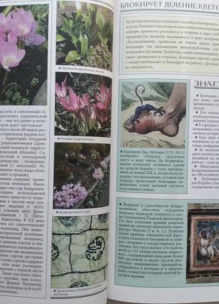 Все о самых удивительных растениях2 фото