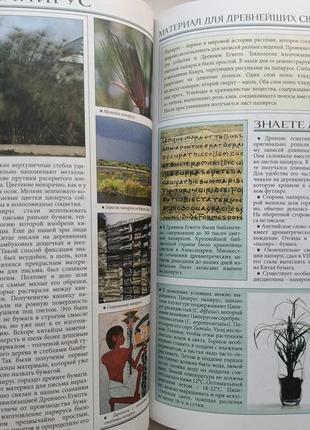 Все о самых удивительных растениях5 фото