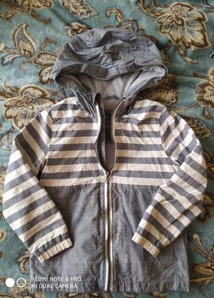 Дощовик, дождевик, ветровка,