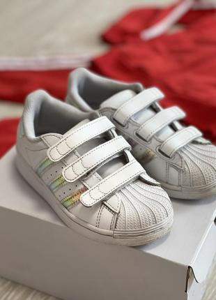 Кросівки adidas superstar