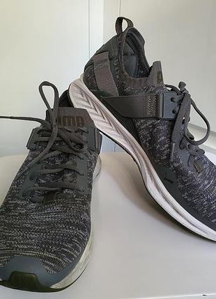 Кросівки чоловічі puma ignite evoknit lo 189904-07 оригінал