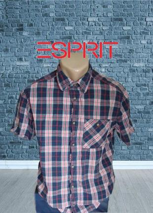 🌴🌴esprit regular fit бавовняна чоловіча сорочка короткий рукав м🌴🌴🌴