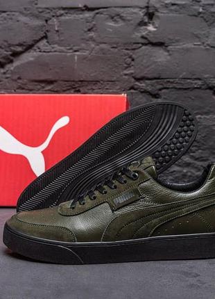 Puma kite 2025