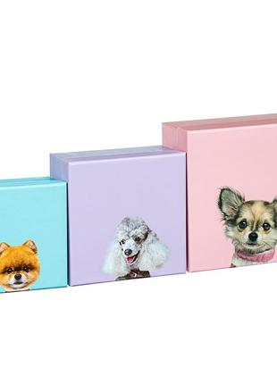 Коробки для подарунків котики собачки 3 шт, подарункове упакування