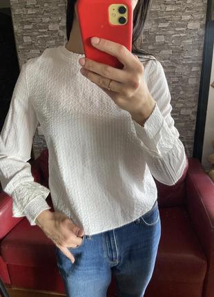 Бавовняна блуза bershka