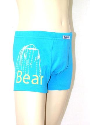 Детские трусы-шорты для мальчика белый медведь (2 шт.) р.34(128-134см)1 фото